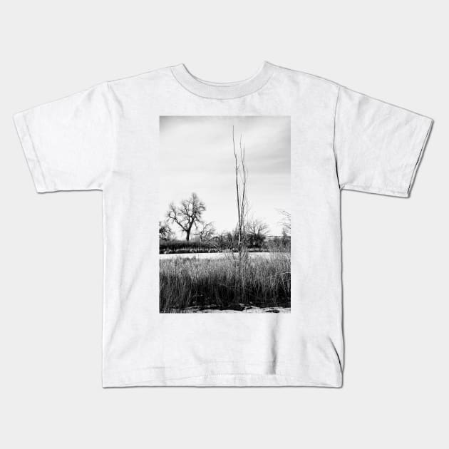 Cherry Creek Winter Study 1 Kids T-Shirt by bobmeyers